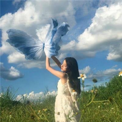 一招半式闯江湖
